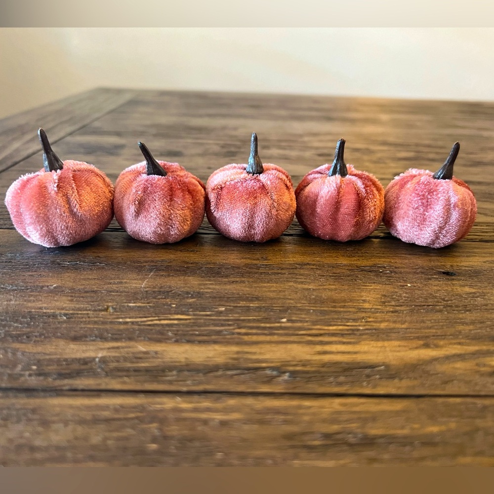 Lot of 5 Mini Velvet Pumpkins Soft Pink Fall Autumn Decor NWOT